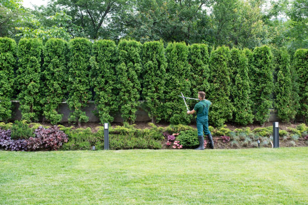 Best Lawn Mowing Services  in Wolfhurst, OH